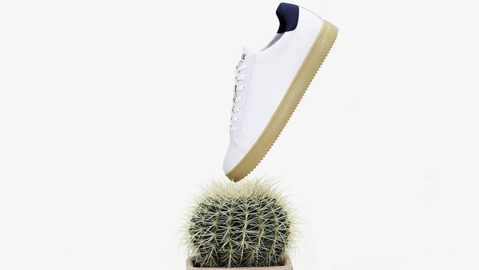 clae cactus